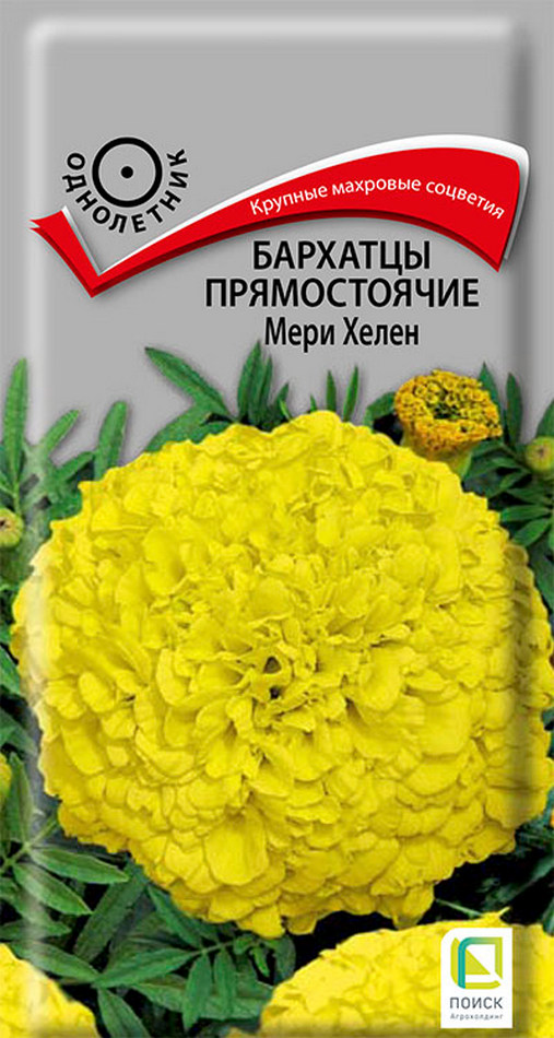 Бархатцы прямостоячие Мери Хелен, 0,4 г