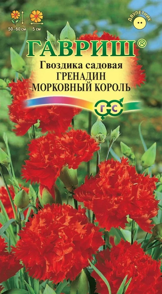Гвоздика гренадин Морковный Король, 0,1 г
