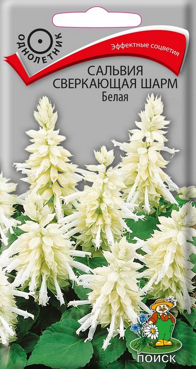 Сальвия сверкающая Шарм Белая, 0,2 г
