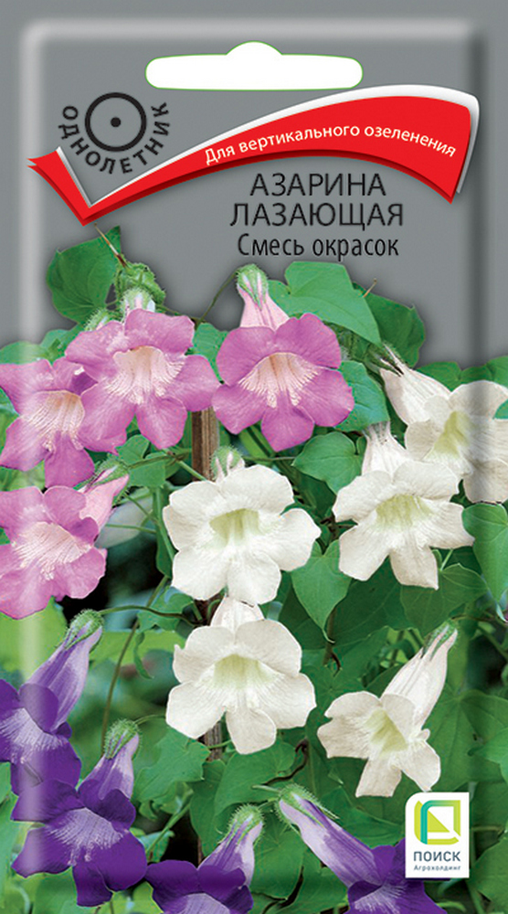 Азарина Лазающая Смесь окрасок, 10 шт.