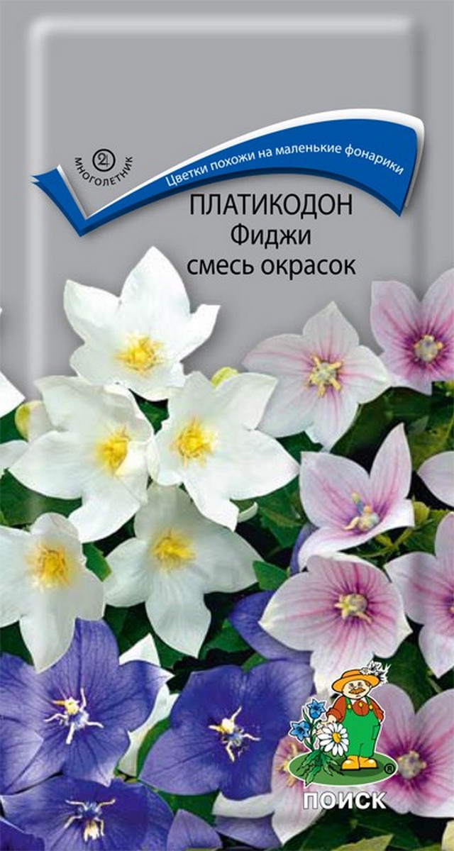 Платикодон Фиджи смесь, 25 шт.