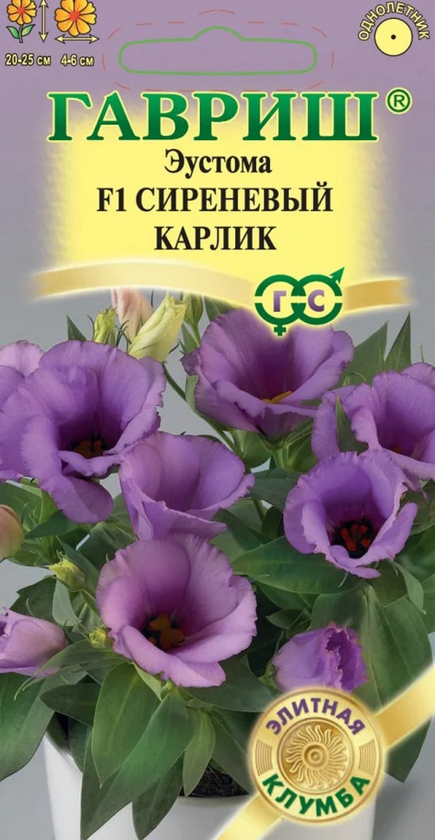 Эустома Сиреневый карлик F1, 4 шт. Элитная клумба .