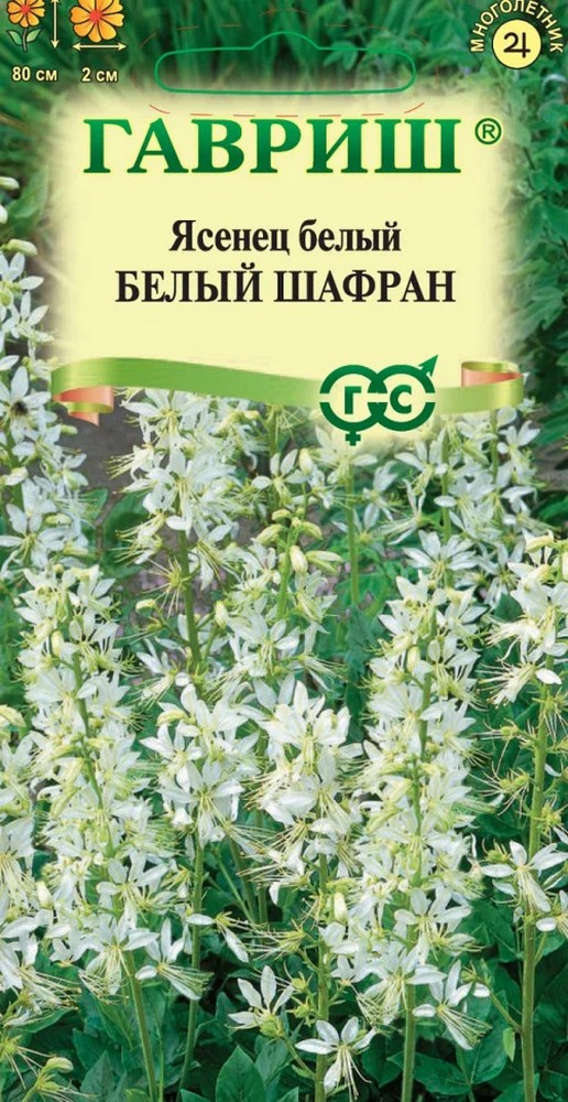 Ясенец Белый шафран, 3шт.