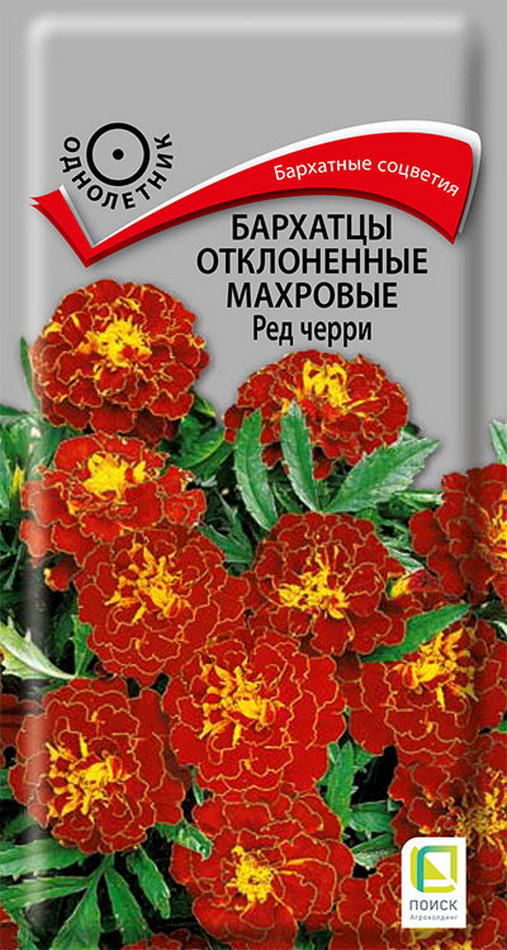 Бархатцы отклоненные махровые Ред черри, 0,3 г