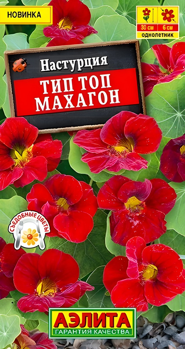 Настурция Тип топ махагон, 5 шт.