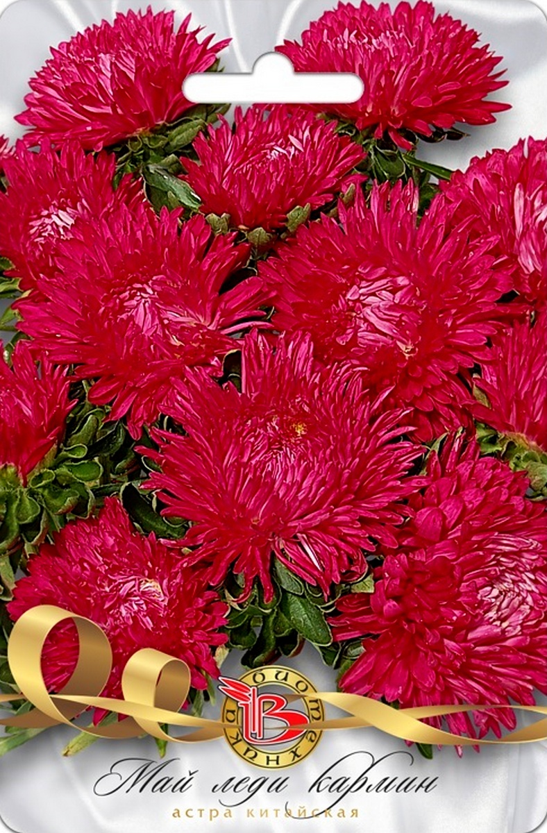 Астра китайская Май Леди Кармин, 30 шт. Биотехника