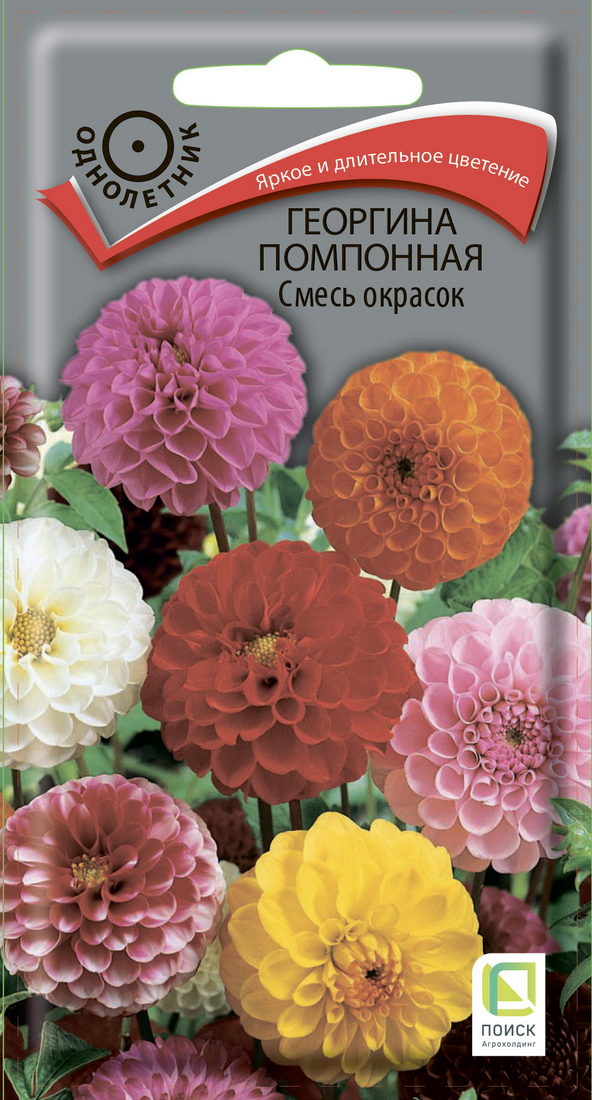 Георгина помпонная смесь окрасок, 0,3 г