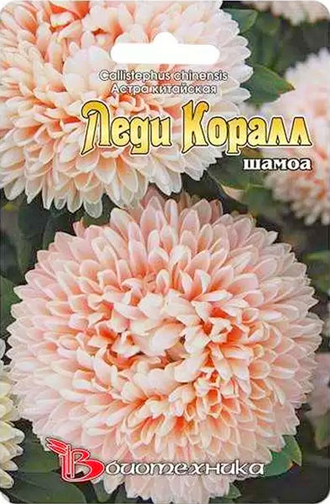 Астра Лели Коралл Шамоа, 30 шт. Биотехника