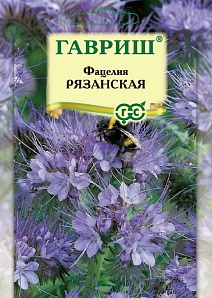 Фацелия Рязанская, 20 г. Гавриш.