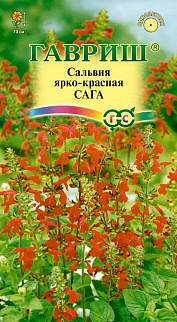 Сальвия ярко-красная Сага, 0,05 г 