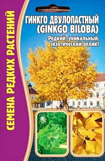 Гинкго двулопастный (Ginkgo biloba), 3 шт.