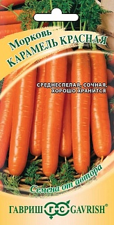 Морковь Карамель красная, 150 шт. Авторские семена.