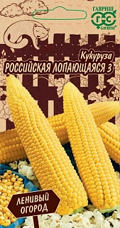 Кукуруза Российская лопающаяся 3, 5 г. Ленивый огород.