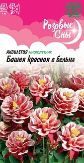 Аквилегия Башня красная с белым, 0,05 г