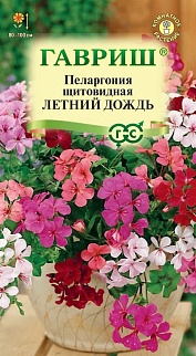 Пеларгония курчавая Летний дождь, смесь, 3 шт.