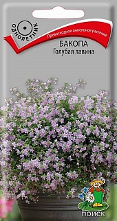 Бакопа Голубая лавина, 5 шт.