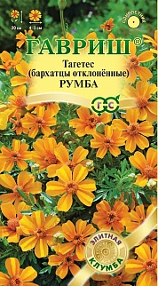 Бархатцы отклонённые Румба, 10шт. Элитная клумба.