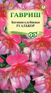 Бегония Алькор F1, 4 шт. Гранулы.