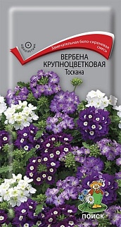 Вербена крупноцветковая Тоскана, 10 шт.