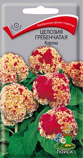 Целозия гребенчатая Армор Ред, 15 шт. Семена профи