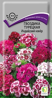 Гвоздика Турецкая Индийский ковер, 0,3 г