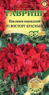 Цикламен Восторг Красный, 3 шт. Элитная клумба. 