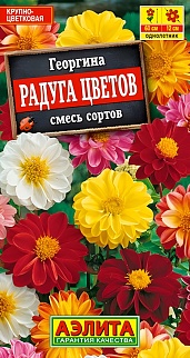 Георгина Радуга цветов смесь окрасок, 0,3 г