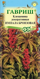 Клещевина Импала бронзовая, 5 шт.