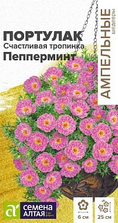 Портулак Счастливая тропинка Пепперминт, 5 шт. Ампельные Шедевры.