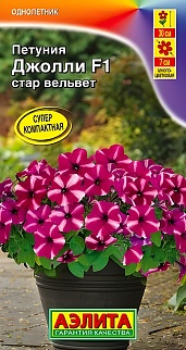 Петуния Джолли F1, стар вельвет, 7 шт.