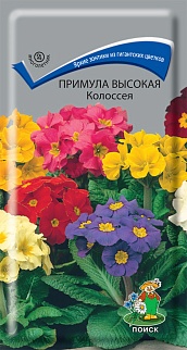 Примула высокая Колоссея, 0,05 г