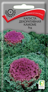 Капуста декоративная Камоме Ред, 10 шт.