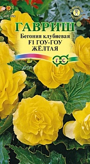 Бегония Гоу-гоу желтая F1, 4 шт. Гранулы.