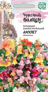 Львиный зев Амулет, ампельная 5 шт. Чудесный балкон.