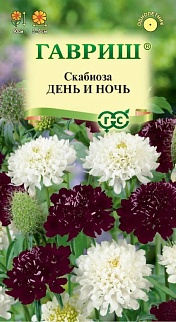Скабиоза пурпурная День и ночь, смесь 0,2 г Н22