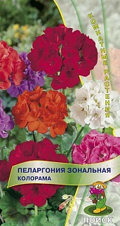 Пеларгония Колорама, 0,05 г Комнатные растения