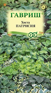Хоста Патрисия, смесь, 5 шт.
