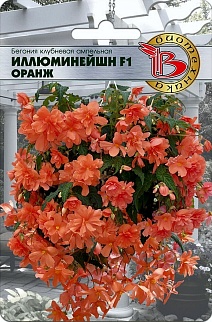 Бегония клубневая ампельная Иллюминейшн F1 Оранж, 8 шт. Биотехника