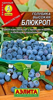 Голубика высокая Блюкроп, 0,01 г