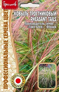 Ковыль тростниковый Pheasant Tails, 10 шт.