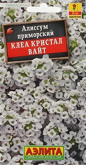 Алиссум Клеа кристал вайт, 5 шт.