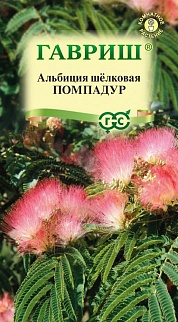Альбиция Помпадур, 3 шт.