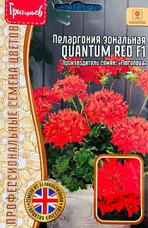 Пеларгония Quantum Red F1, 3 шт.