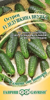 Огурец Дедушкина внучка F1, 10 шт. Авторские семена.
