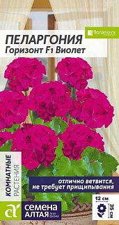 Пеларгония зональная Горизонт Виолет , 4 шт. 