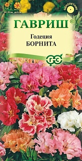 Годеция Борнита, смесь, 0,05 г