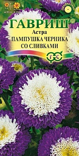 Астра Пампушка черника со сливками, однолетняя, помпонная, 0,3 г 