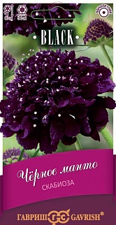 Скабиоза махровая Черное манто, 0,2 г. Black.
