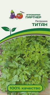 Петрушка Титан, 2 г. Агрофирма Партнер.