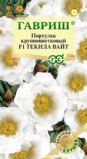 Портулак Текила Вайт F1, 5 шт. Элитная клумба.